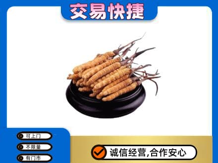 阿拉善礼品回收散虫草.jpg